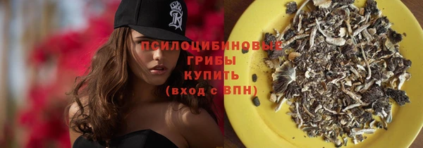 ГАЛЛЮЦИНОГЕННЫЕ ГРИБЫ Осинники