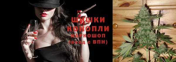 PSILOCYBIN Осташков