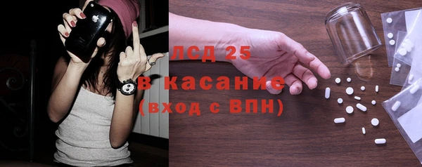 ГАЛЛЮЦИНОГЕННЫЕ ГРИБЫ Осинники