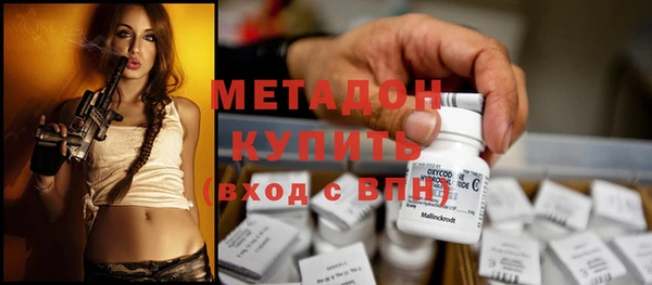 ГАЛЛЮЦИНОГЕННЫЕ ГРИБЫ Осинники