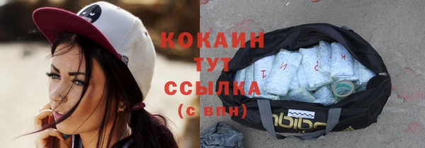 ГАЛЛЮЦИНОГЕННЫЕ ГРИБЫ Осинники