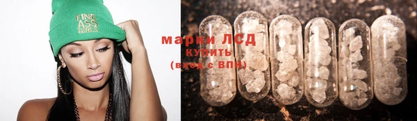 PSILOCYBIN Осташков