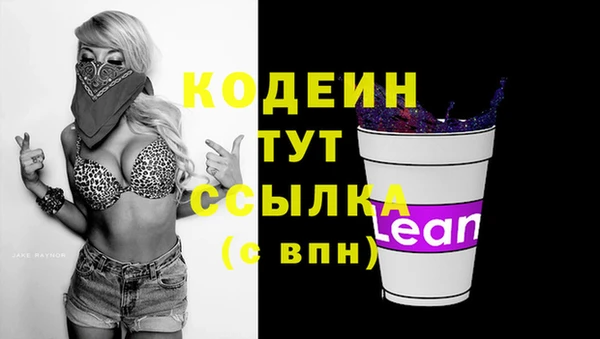 ГАЛЛЮЦИНОГЕННЫЕ ГРИБЫ Осинники