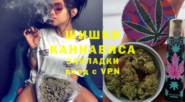 ГАЛЛЮЦИНОГЕННЫЕ ГРИБЫ Осинники
