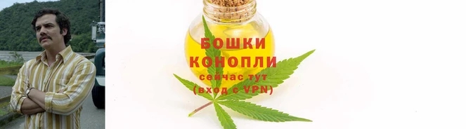PSILOCYBIN Осташков