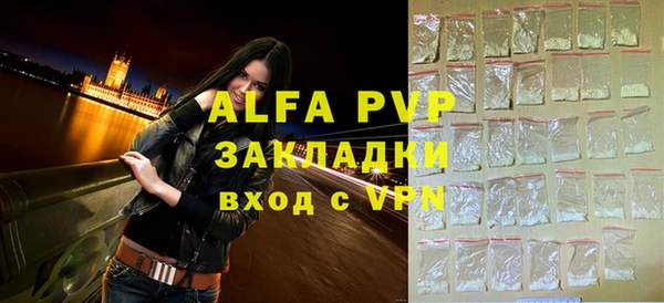 ГАЛЛЮЦИНОГЕННЫЕ ГРИБЫ Осинники