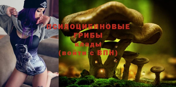 PSILOCYBIN Осташков